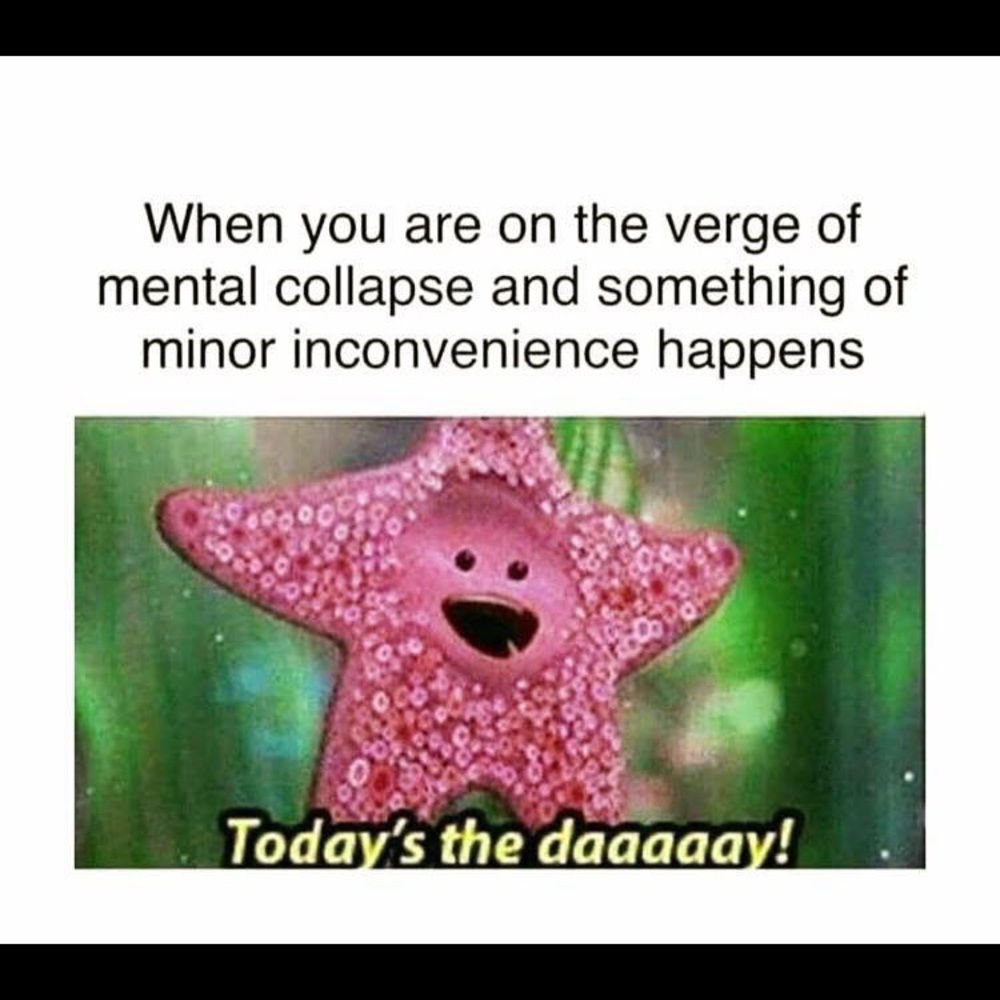 Meet your Posher, Vicktoria